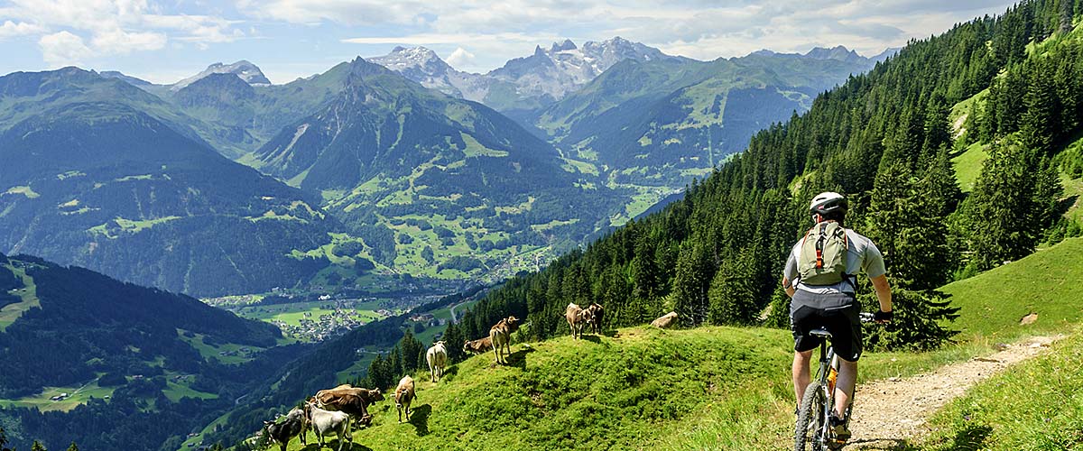 Angebote & Kurzreisen im Alpenresidenz Buchenhöhe Berchtesgaden