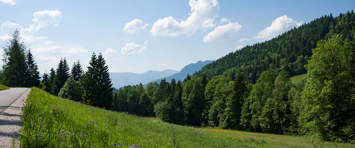 Anreise Alpenresidenz Buchenhöhe Berchtesgaden