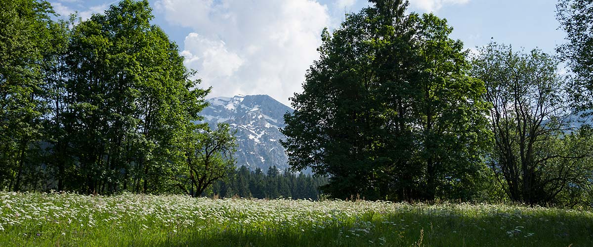 Datenschutz Alpenresidenz Buchenhöhe Berchtesgaden