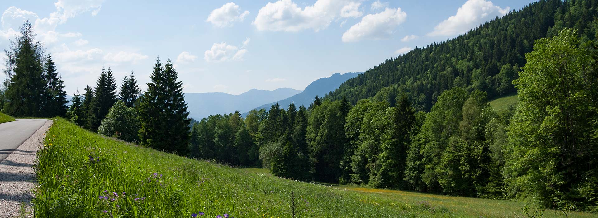 Anreise Alpenresidenz Buchenhöhe Berchtesgaden