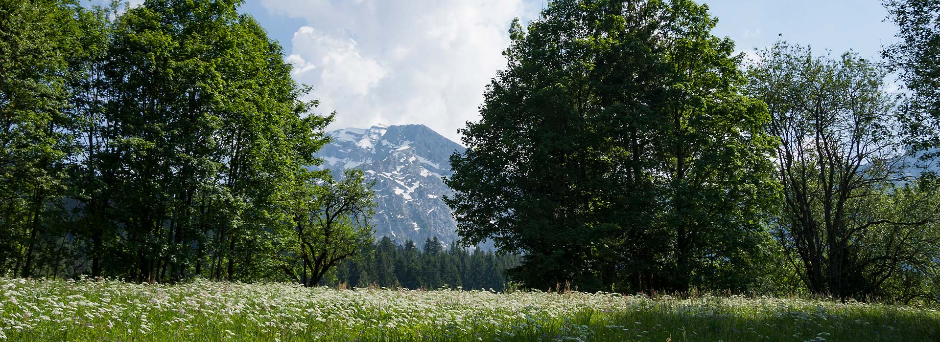 Datenschutz Alpenresidenz Buchenhöhe Berchtesgaden