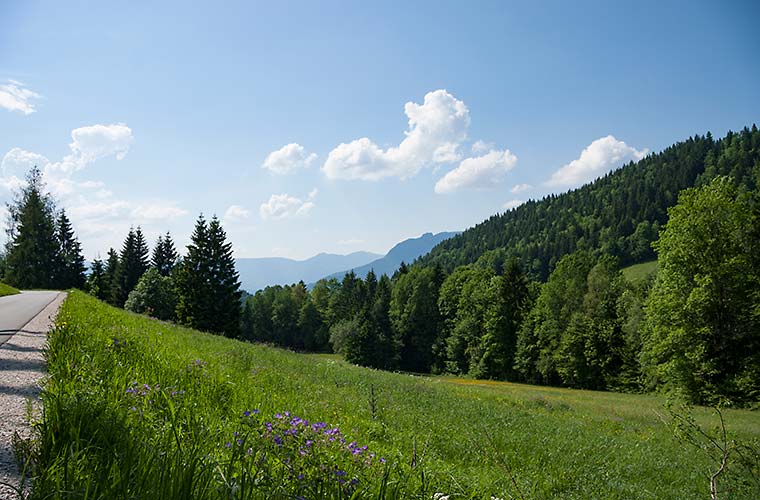 Anreise Alpenresidenz Buchenhöhe Berchtesgaden