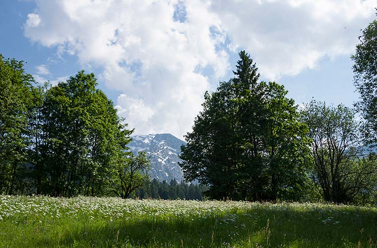 Datenschutz Alpenresidenz Buchenhöhe Berchtesgaden