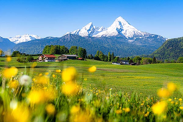 Angebot Das hat Pfiff in der Alpenresidenz Buchenhöhe